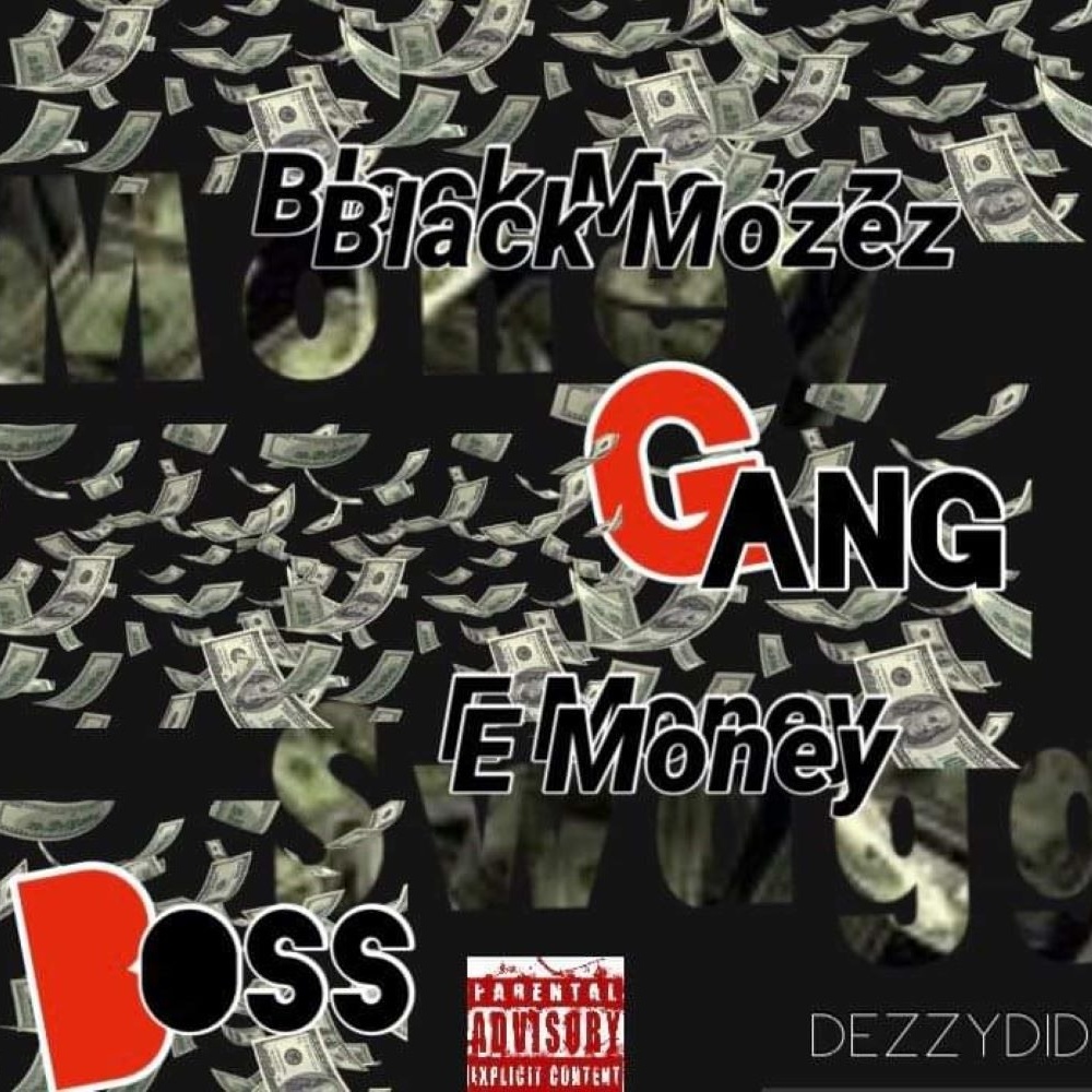 Money Swagg (feat. E Money) (Explicit)