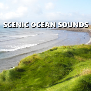 Listen to Masterful Sunset Beach Waves song with lyrics from Deep Sleep