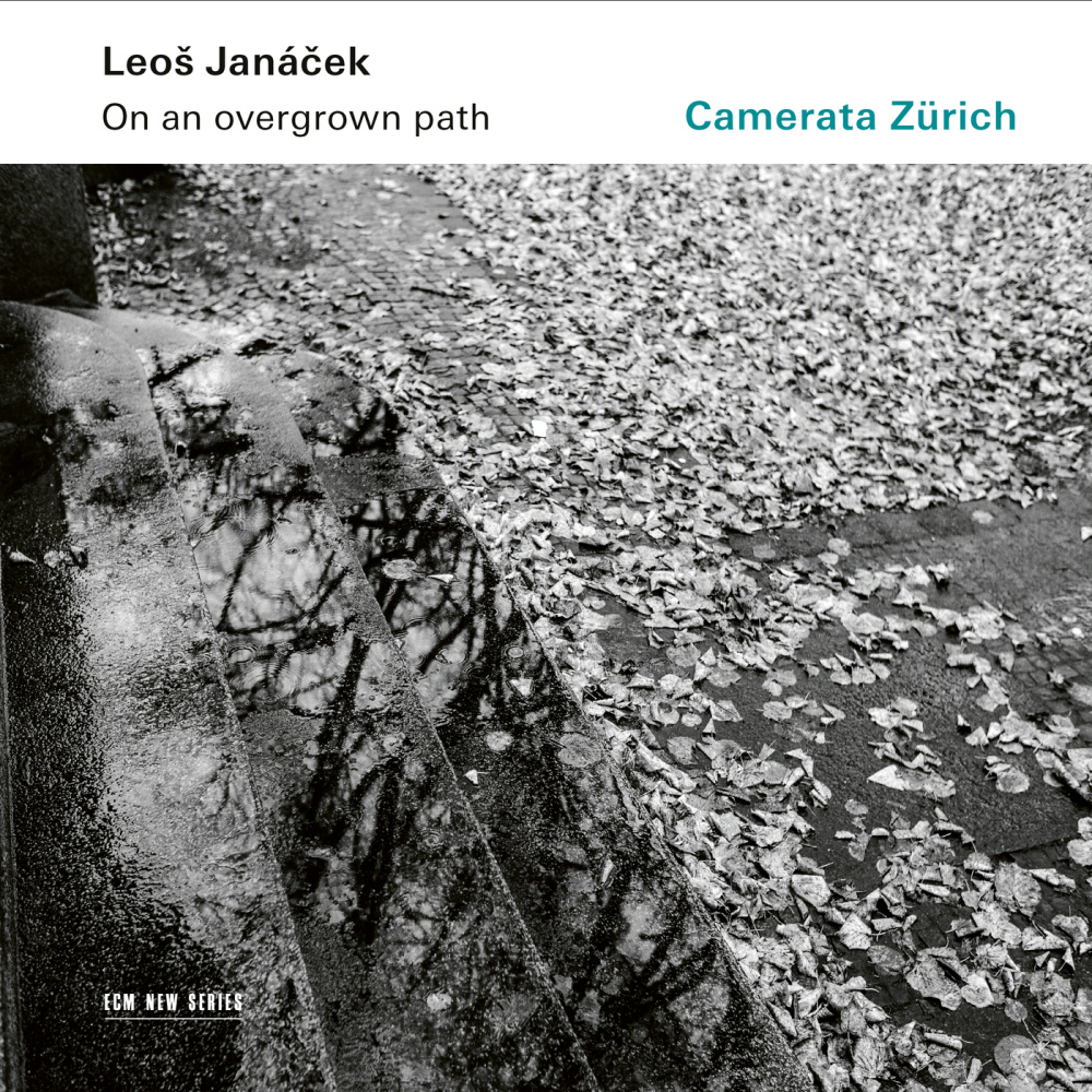 Janáček: On An Overgrown Path (Po zarostlém chodnicku) , JW 8/17 - Arr. Rumler for String Orchestra / Book I - 7. Good Night!