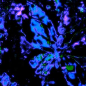 收聽Sephe的change (Explicit)歌詞歌曲