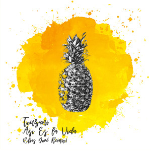收聽Touzani的Asi Es la Vida (Elias Doré Remix)歌詞歌曲