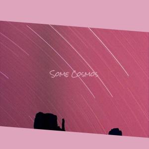 Listen to Cobos Sheer song with lyrics from Garie Sach