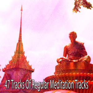 Dengarkan Serenity Blessing lagu dari Zen Music Garden dengan lirik