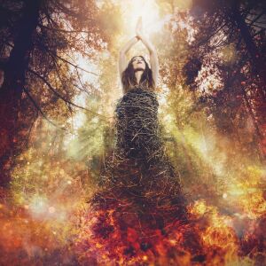 default playlist img