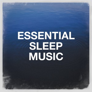 Listen to Travels and Fairyland song with lyrics from Eternal Sounds