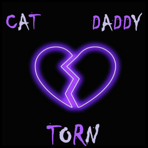 Listen to Now or Never song with lyrics from Cat Daddy