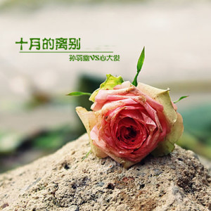 Listen to 十月的离别 song with lyrics from 孙羽幽