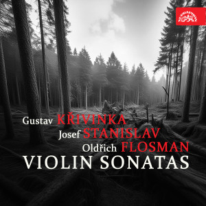 Listen to Sonata for Violin and Piano song with lyrics from Václav Snítil
