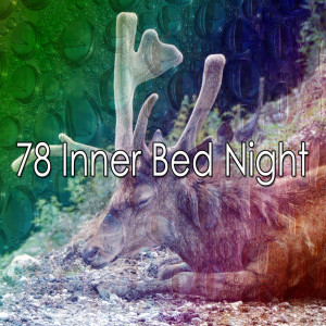 Listen to Dream Journal song with lyrics from Monarch Baby Lullaby Institute