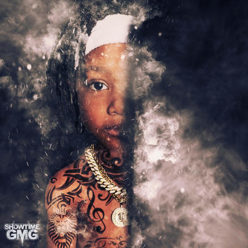 Did Me Wrong (feat. King Louie, JR Writer & Hell Rell) (Explicit)