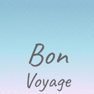 Album Bon Voyage oleh Silvia Natiello-Spiller