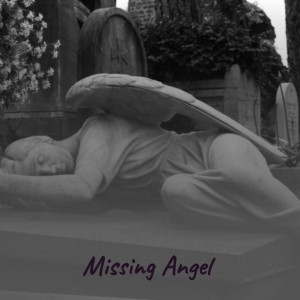 收听Jim Reeves的Missing Angel歌词歌曲