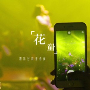 收听花僮的漂洋过海来看你歌词歌曲