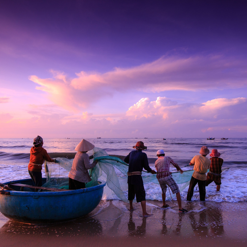 Productive Sea Resonance