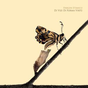 Listen to Per elsa song with lyrics from Dargen D'Amico