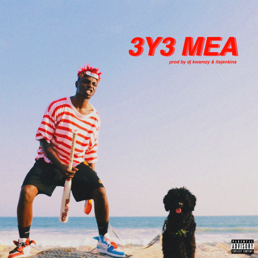 3y3 Mea