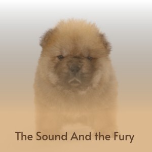 The Sound and the Fury dari Various Artists