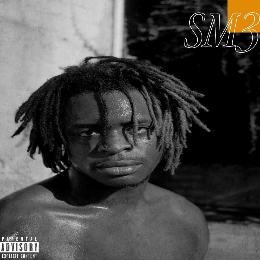 SHARK FLOW (Explicit)