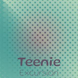 Album Teenie Excursion from Various