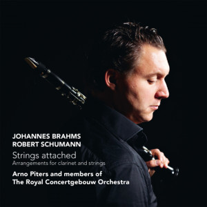 收聽Marleen Asberg的Sonate opus 120/2 Es dur für Klarinette und Streichsextett: Allegro amabile歌詞歌曲