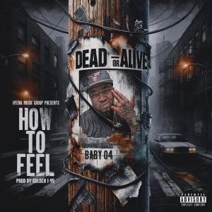 Baby O4的專輯How To Feel (Explicit)