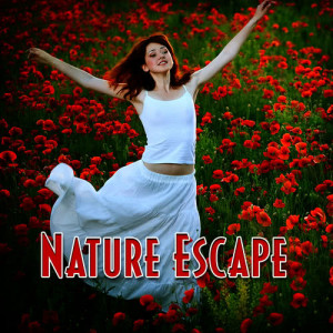 ดาวน์โหลดและฟังเพลง Look at Both Sides with the Sound of Gentle Calling Birds พร้อมเนื้อเพลงจาก Meditation Spa