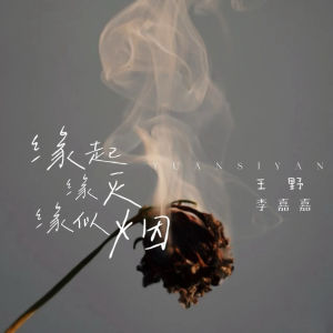 收听王野的缘起缘灭缘似烟歌词歌曲