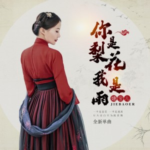 婕寶兒的專輯你是梨花我是雨