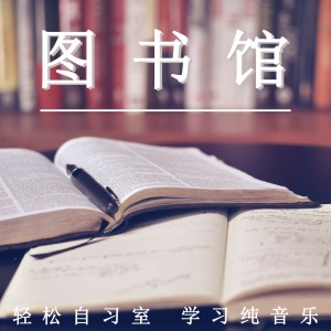 Album 图书馆 轻松自习室 学习纯音乐 from 学习音乐盒