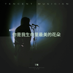 Listen to 你是我生命里最美的花朵 (伴奏) song with lyrics from 丁紫