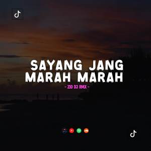 Album DJ SAYANG JANG MARAH MARAH from Zio DJ
