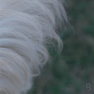 Listen to B song with lyrics from Choi Sam