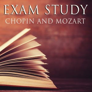 Piano的專輯Exam Study