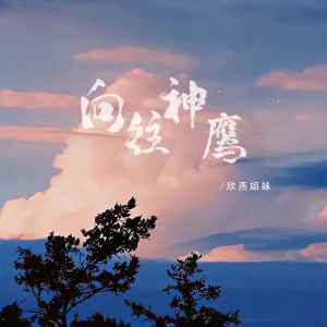 Listen to 向往神鹰 (Live合唱版) song with lyrics from 大欣小燕