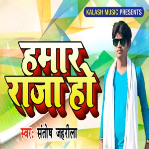 Listen to Hamar Raja Ho song with lyrics from Santosh Jaharila