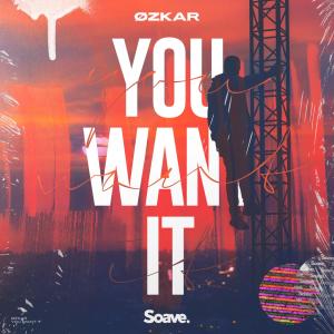 You Want It dari ØZKAR