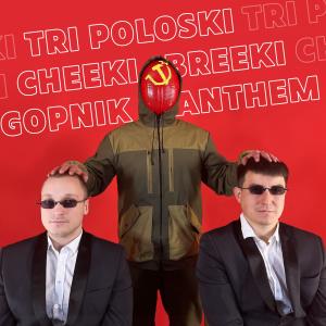 อัลบัม Tri Poloski, Cheeki Breeki, Gopnik Anthem ศิลปิน Hard Bass School