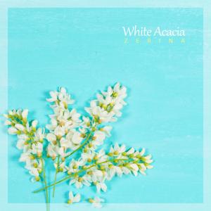 Listen to White Acacia song with lyrics from 제리나