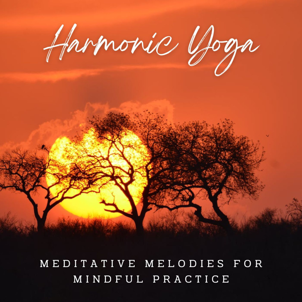 Mindful Journey Through Sound
