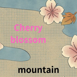 Album Cherry blossom from Mountain