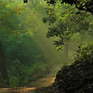 Listen to Magical Quality song with lyrics from Brain Study Music Guys