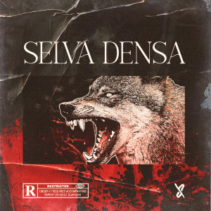 ดาวน์โหลดและฟังเพลง Selva Densa พร้อมเนื้อเพลงจาก Akilla