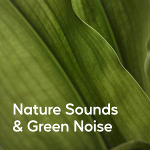 收聽Deep Sleep Nature Sounds的Nature Rest Sound歌詞歌曲