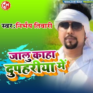Dengarkan Jalu Kaha Duphariya Me lagu dari Nirbhay Tiwari dengan lirik