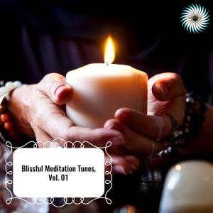 收听Thomas Wane的Calming Tibetan Bells歌词歌曲