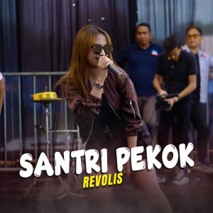 Dengarkan Santri Pekok lagu dari Revolis dengan lirik