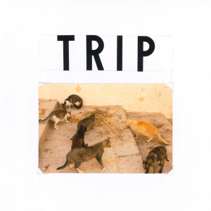 Album Chookity Pok (TRIP ASS) (Explicit) from Miguel Grimaldo