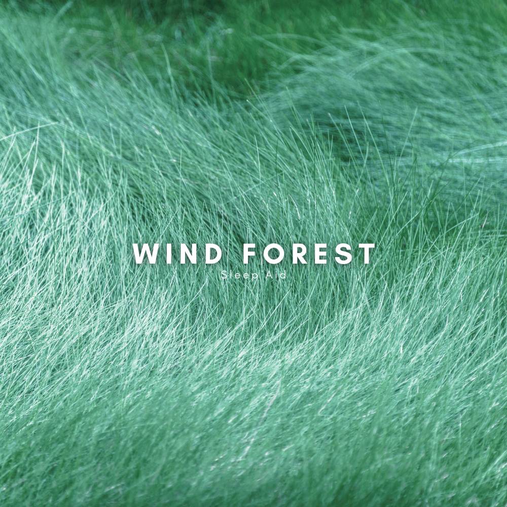 Wind Forest Sleep Aid