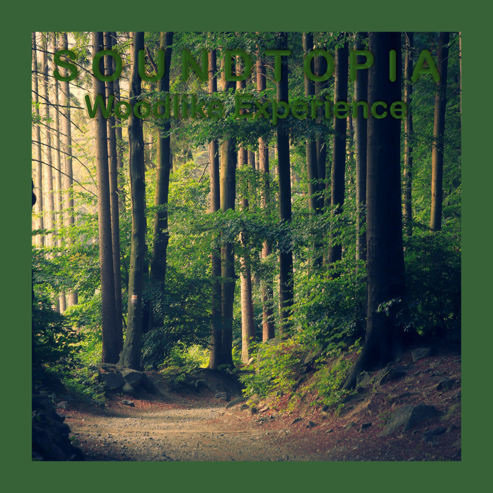 Woodlike Experience