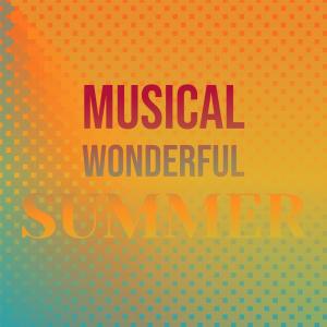 Various的专辑Musical Wonderful Summer